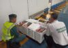 La Guardia Civil ha intervenido en el polígono Guadiel 110 kilogramos de pescado y molusco no aptos para el consumo