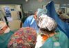 La provincia de Jaén registra 28 donaciones de órganos y 102 de tejidos en 2024
