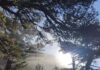 Cielos despejados y soleados par el domingo de febrero