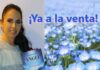 La Maldición de un Ángel, nueva novela de Mónica Villarejo