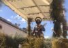 la localidad de Carboneros celebra este fin de semana la Romería de San Isidro