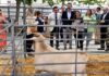 La Junta apuesta en La Carolina por un sector ganadero que crezca fuerte al amparo de la nueva PAC