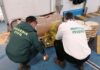 La Guardia Civil ha intervenido en el polígono Guadiel 90 kilogramos de pescado y molusco no apto para el consumo