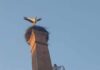 Miércoles tormentoso y de caída de temperaturas