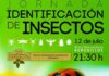Burguillos acogerá una Jornada de Identificación de Insectos