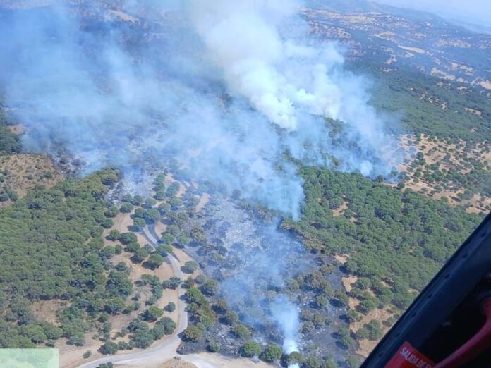 INCENDIO DE ANDUJAR JUL 2025