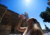 Seguimos en alerta naranja por el calor en la comarca