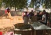 Degustación de paella en las fiestas de Carboneros