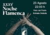 Noche Flamenca en Guarromán