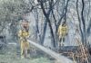 La EMA insta a no bajar la guardia aunque acabe la ola de calor porque sigue el riesgo extremo de incendios