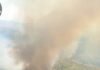La Guardia Civil ha investigado a una persona como presunta autora de cuatro delitos de incendio no forestal en Andújar