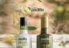 Aceites Padilla oferta sus aceites tempranos de la cosecha 25/26