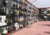 Horario especial del cementerio para la Festividad de Los Santos