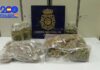 Un detenido en Andújar acusado de engancharse a la red para cultivar marihuana en su casa