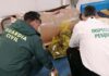 La Guardia Civil interviene en El Guadiel 90 kg. de chirla por carecer de la talla mínima