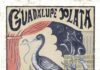 Últimas entradas para el concierto de Guadalupe Plata en Úbeda el 28 de diciembre
