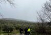 Diputación analiza los desperfectos que el temporal ha provocado en la Red Viaria para planificar obras de emergencia