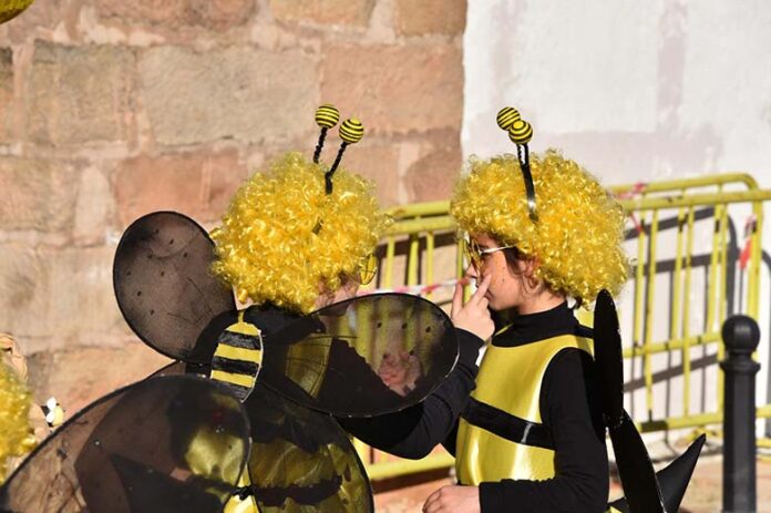 Carnval de Baños de la encina 2026