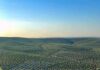 Lunes de descenso de temperaturas