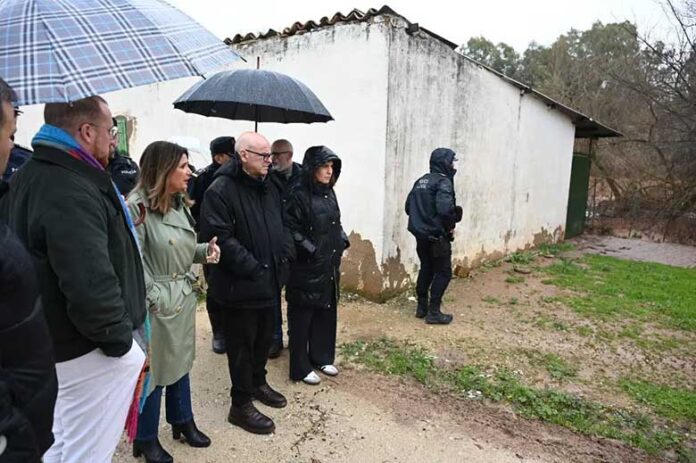 TEMPORAL LINARES BAEZA ALCALDESA