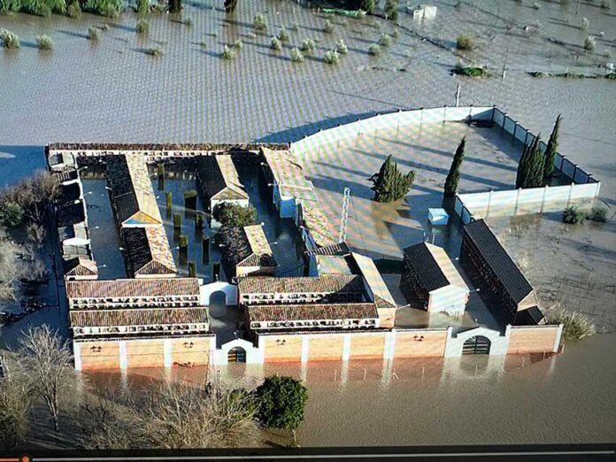 TEMPORAL VILLANUEVA DE LA REINA