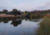 Seguimos con buena temperatura casi primaveral