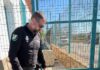 La Policía Adscrita en Jaén recupera en Espeluy varias piezas arqueológicas romanas de extraordinario valor