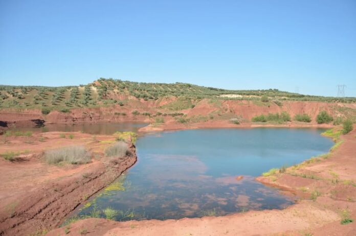 JORNADAS CERÁMICA CHARCOES