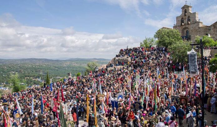 Romeria cabeza Estandar