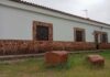 Pintadas y tapadas los grafitis vandálicos de Burguillos