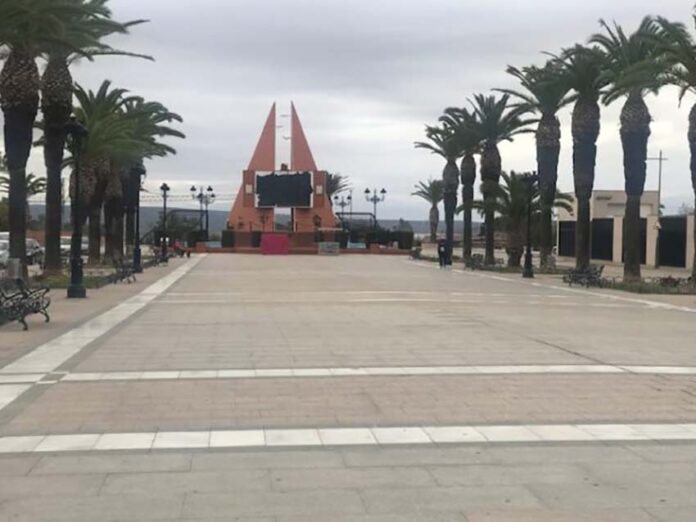 Las palmeras nubosas2024