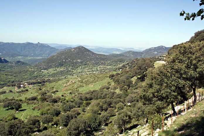 parque de grazalema ampli