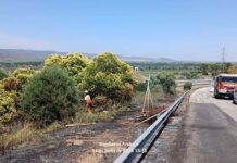 Los Bomberos de Andújar sofocan un incendio en la autovía A-4