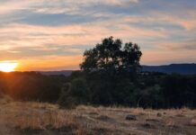 Lunes de calor para iniciar una semana en este línea