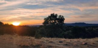 Lunes de calor para iniciar una semana en este línea