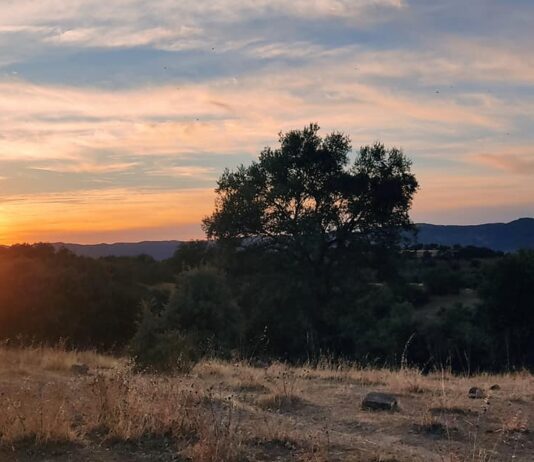 Lunes de calor para iniciar una semana en este línea