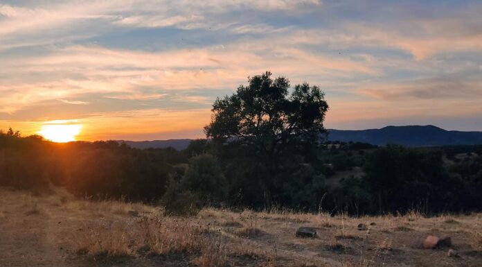 Lunes de calor para iniciar una semana en este línea