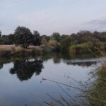 Lunes de recuerdo de temperaturas más ajustadas a la baja ante de la subida que se anuncia a partir del martes