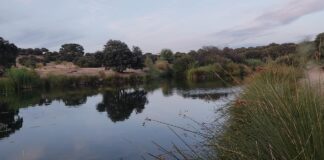 Lunes de recuerdo de temperaturas más ajustadas a la baja ante de la subida que se anuncia a partir del martes