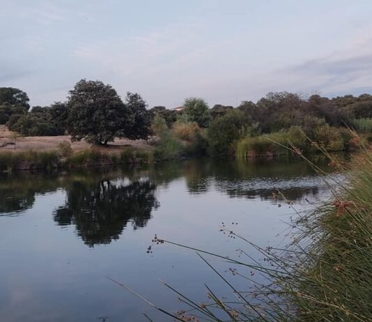 Lunes de recuerdo de temperaturas más ajustadas a la baja ante de la subida que se anuncia a partir del martes