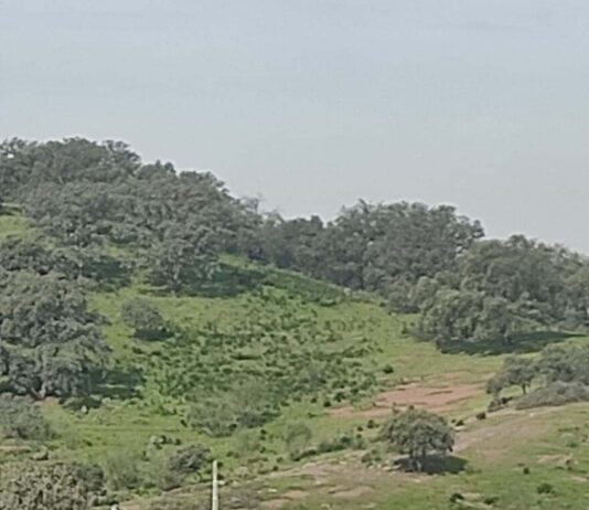 Sábado de calor para despedir la primavera