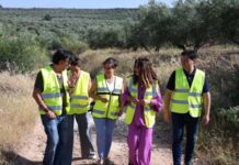 La Junta inicia obras de emergencia para la reparación de cuatro caminos rurales de Linares