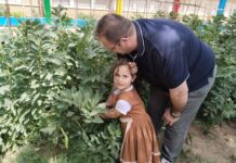 El CEIP Virgen de Zocueca celebra el Día del Medio Ambiente