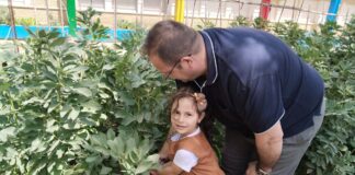 El CEIP Virgen de Zocueca celebra el Día del Medio Ambiente