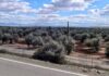 Martes de calor para despedir el mes de junio