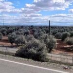 Martes de calor para despedir el mes de junio