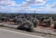 Martes de calor para despedir el mes de junio