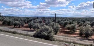 Martes de calor para despedir el mes de junio