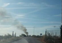 IU Bailén exige comprobar si la fábrica de fertilizantes cumple la normativa específica de subproductos cárnicos tras años de olores putrefactos