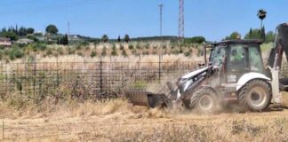 El Ayuntamiento continúa la limpieza integral de los solares municipales